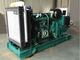 240 KW Diesel Backup Generator ضمان لمدة سنة مجموعة مولدات الديزل المفتوحة 300 KVA