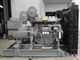 400 KW Power Generator Set Brusless المولد المفتوح مجموعة مولدات الديزل
